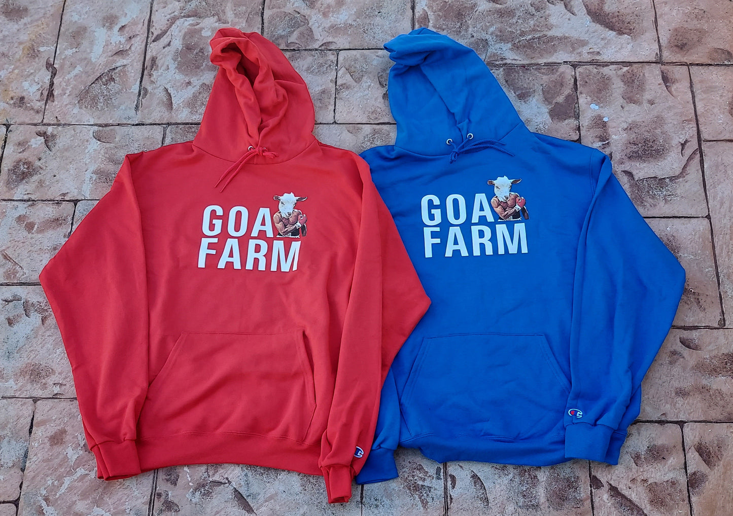 GOAT FARM CHAMPION HOODIE W/ GF CD