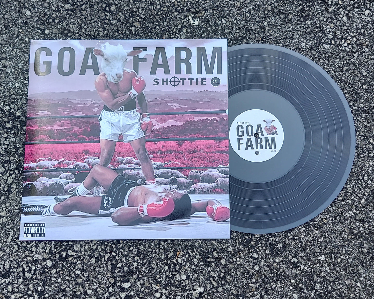 GOAT FARM 12" Vinyl LP